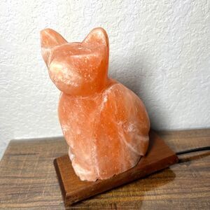 Vintage Pink Himalayan Salt Lamp Cat Shaped Carved Orange Rock Crystal Wood Base